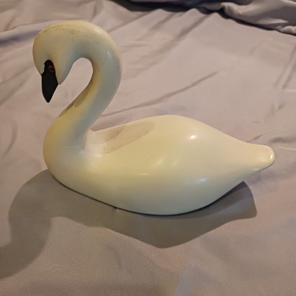 Duck display